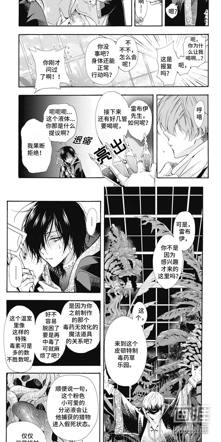 第6章：很耀眼