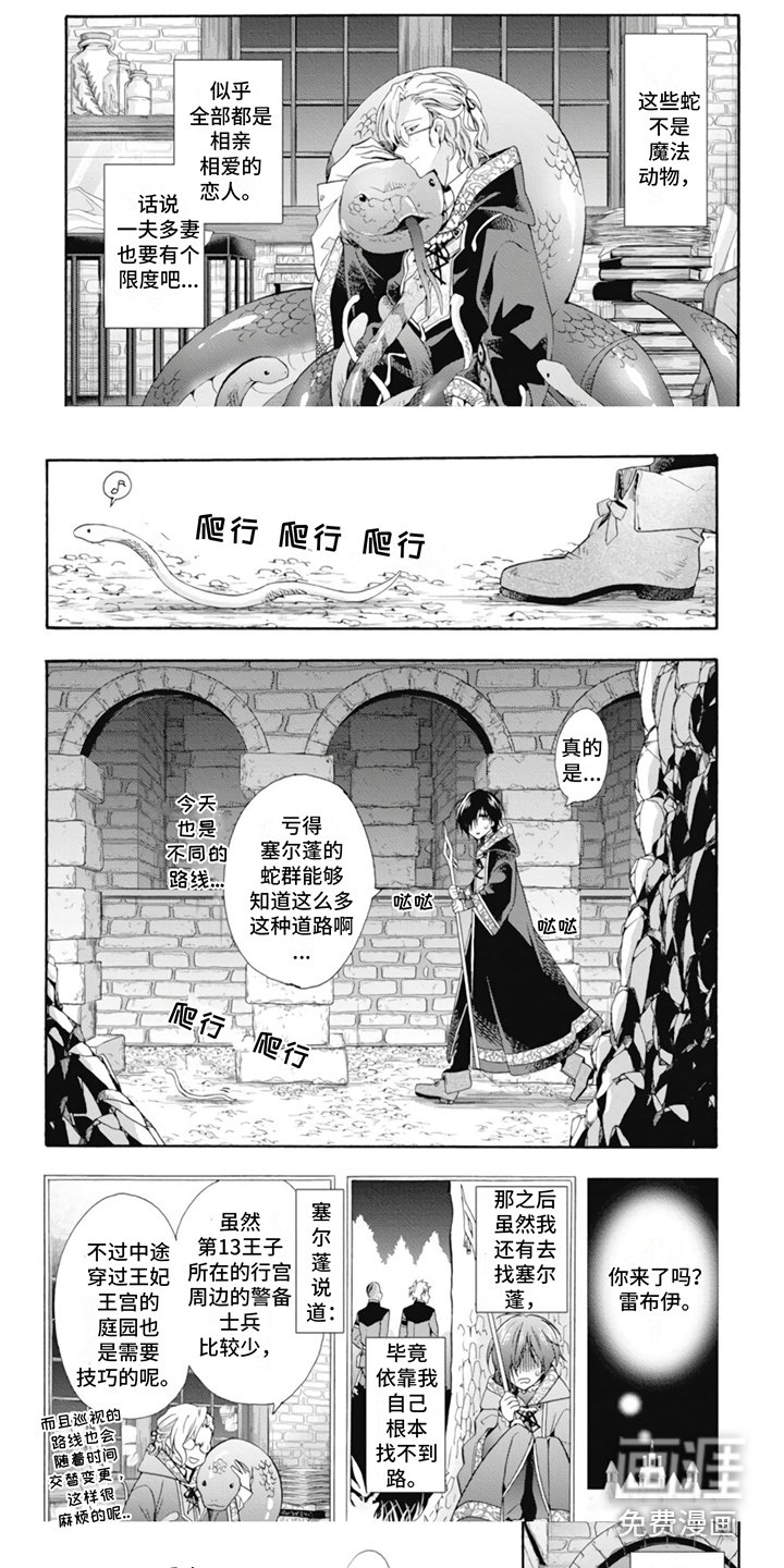 第6章：很耀眼