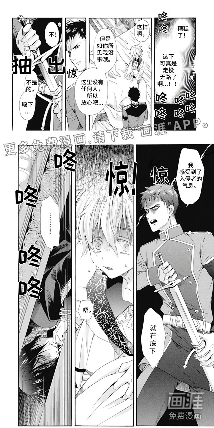第7章：刺客