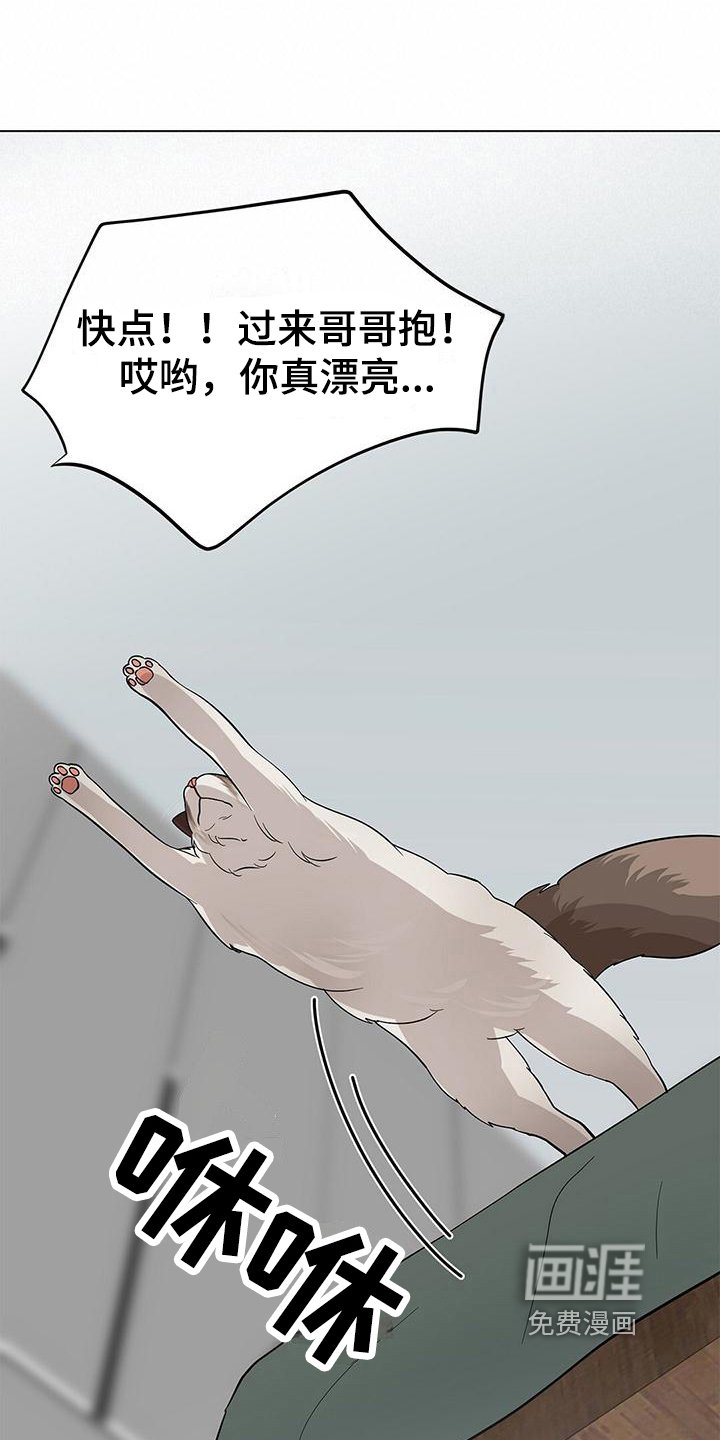 第22章：小可爱