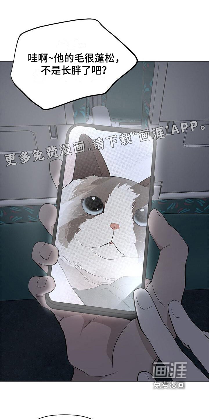 第23章：看电影