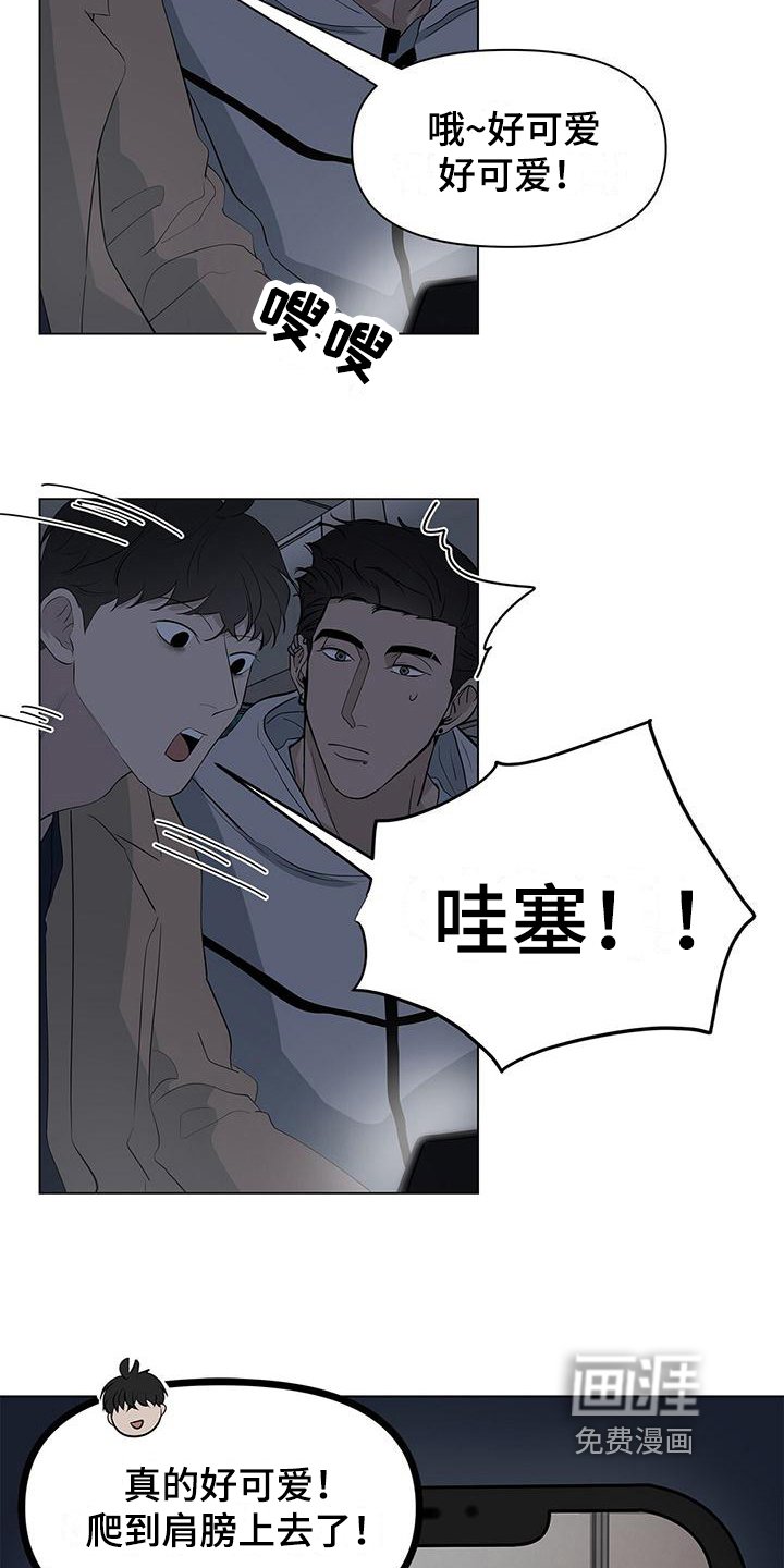 第23章：看电影