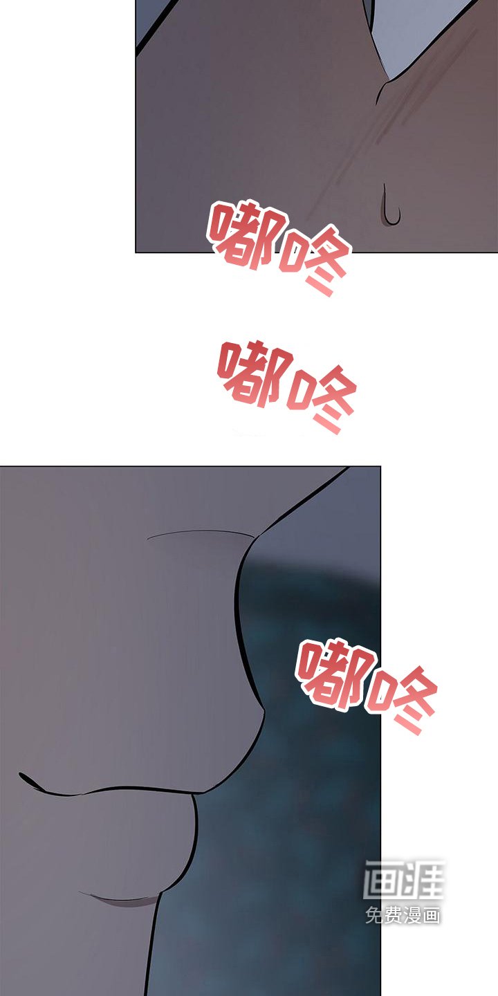 第29章：判断
