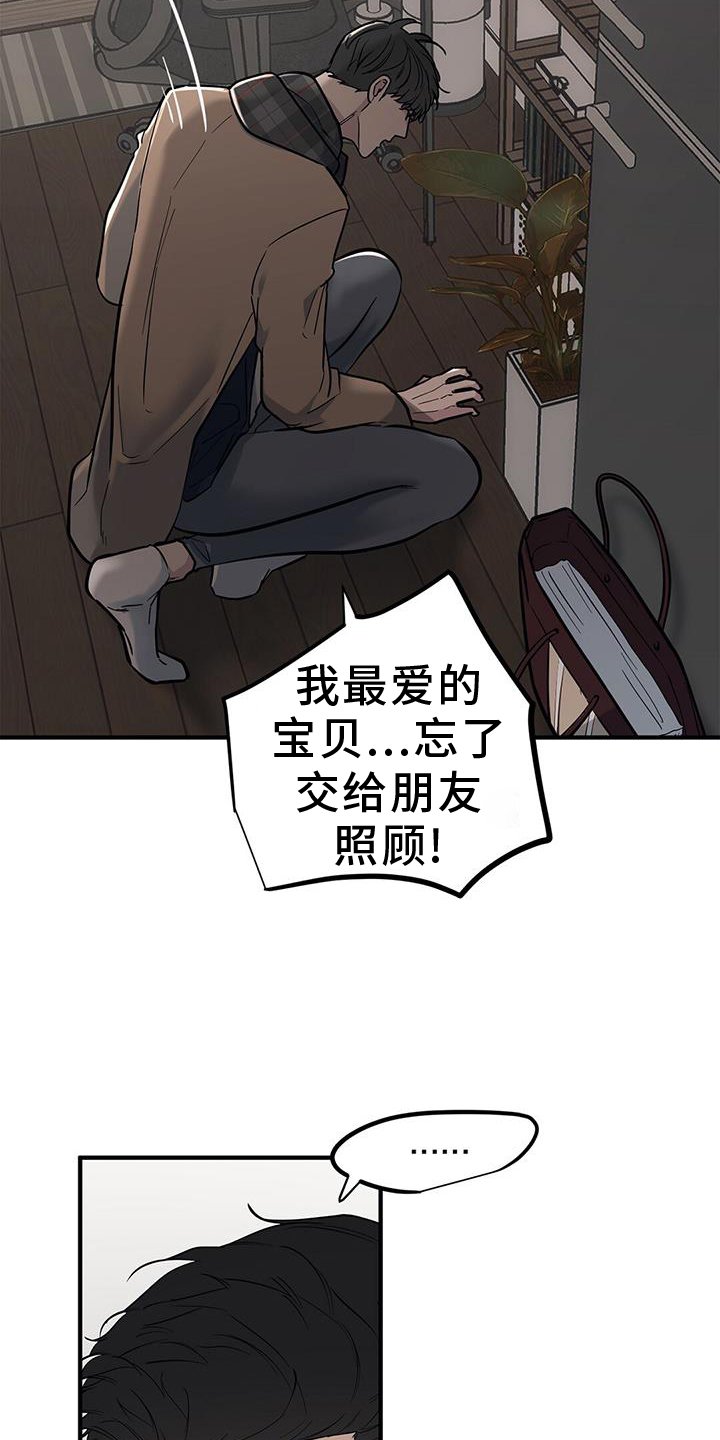 第47章：【第二季】提问