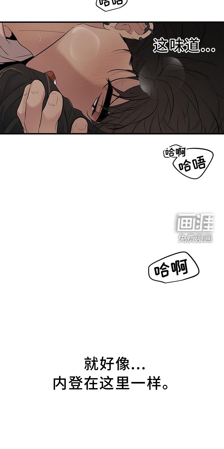 第65章：【第二季】回来
