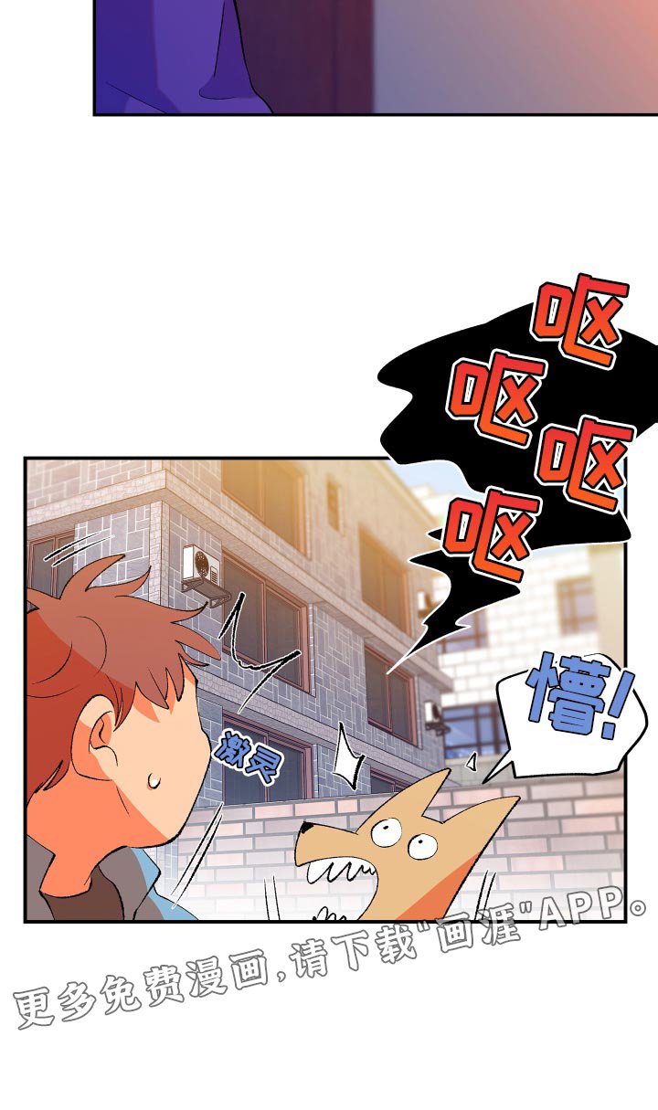 第16章：梦