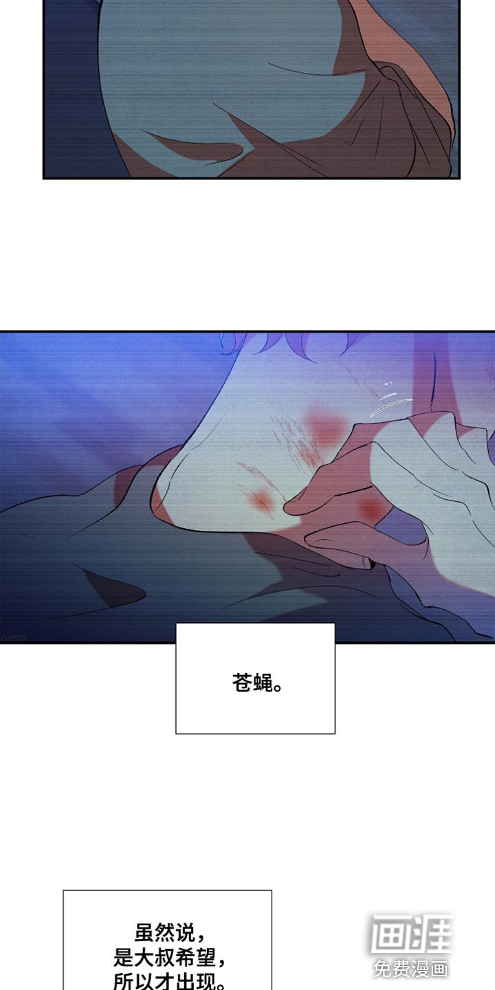 第31章：无法理解