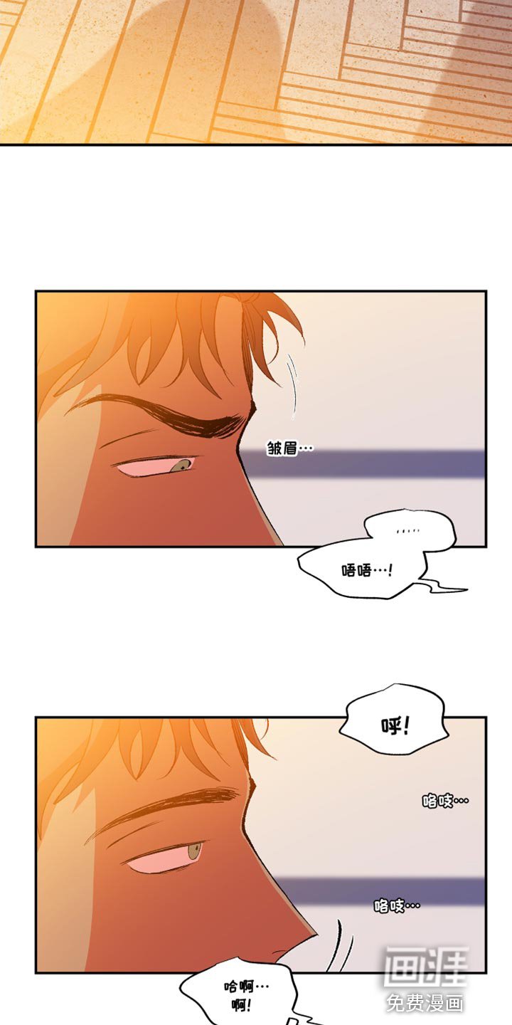 第31章：无法理解