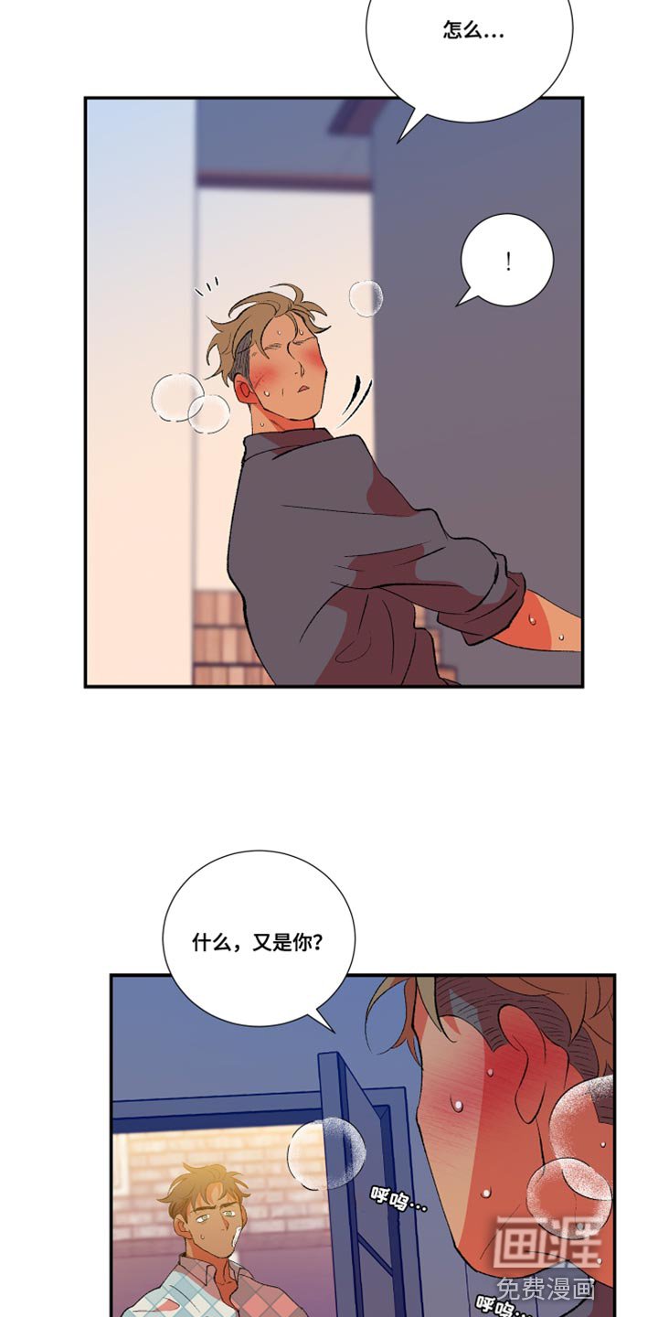 第32章：暴力