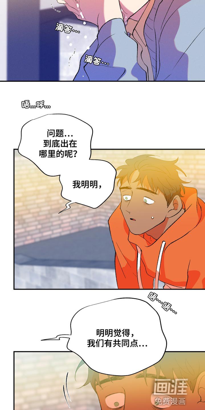 第37章：谎言