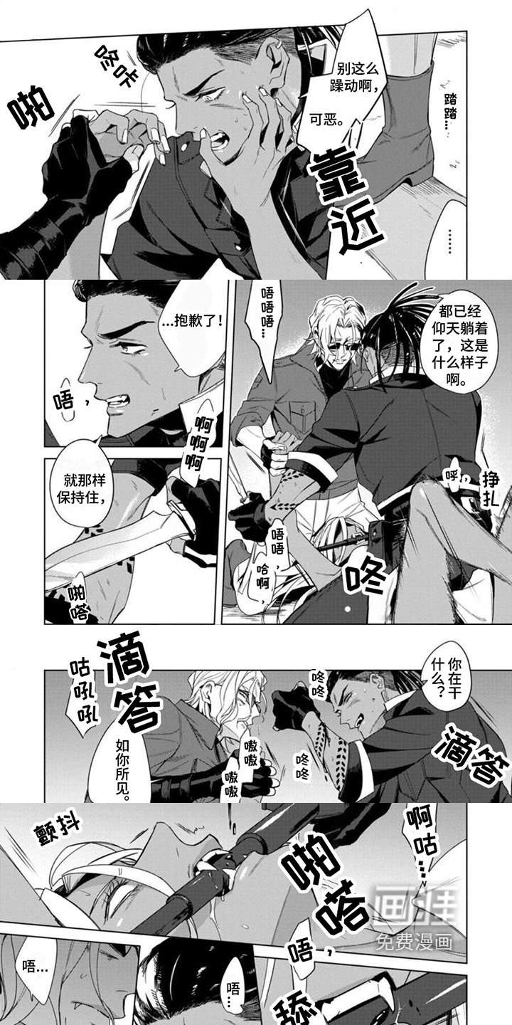 第5章：观念