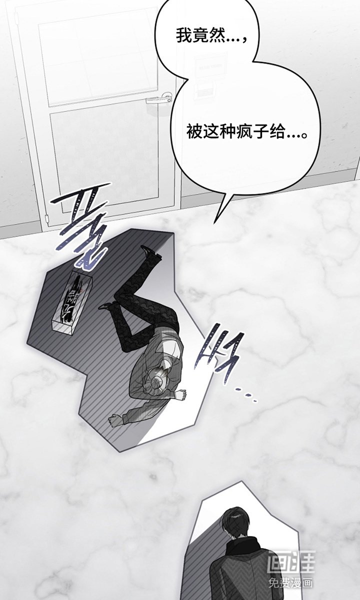 第11章：永远会发光的星星