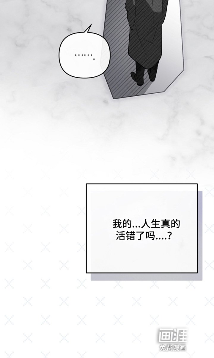 第11章：永远会发光的星星