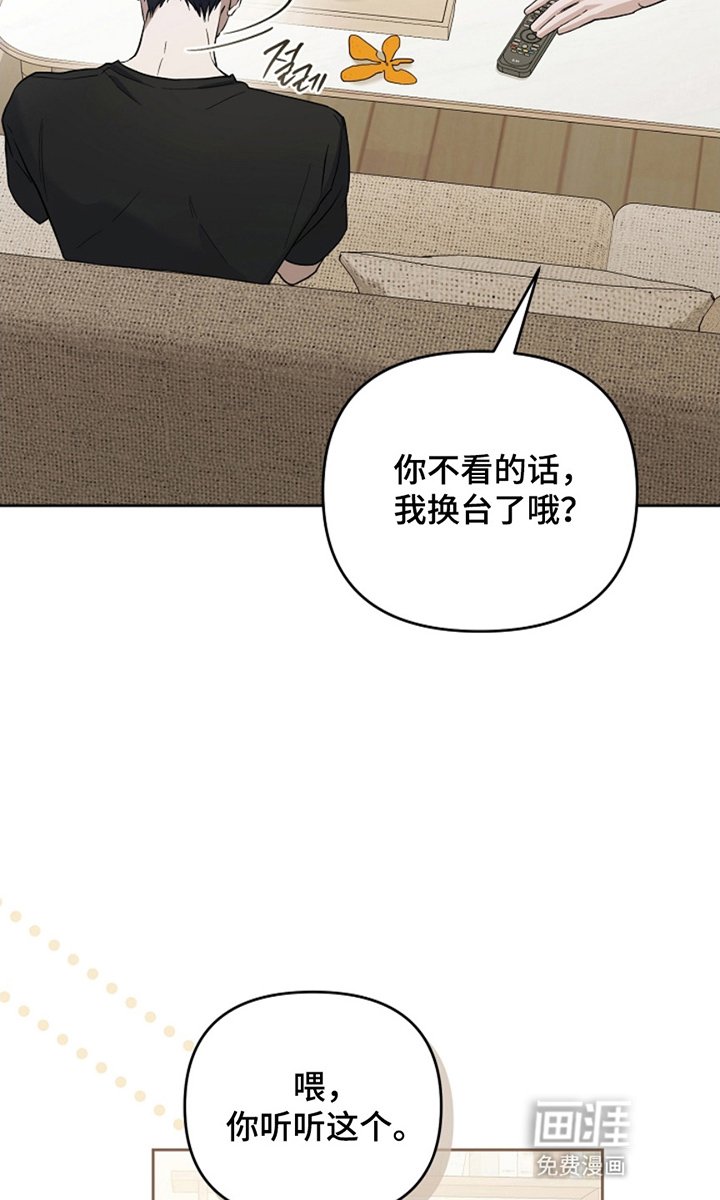 第11章：永远会发光的星星