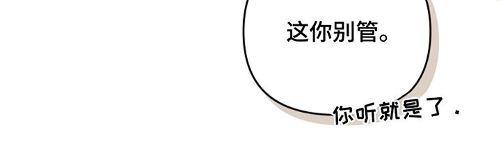第11章：永远会发光的星星