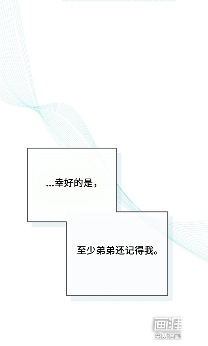 第3章：新手教程