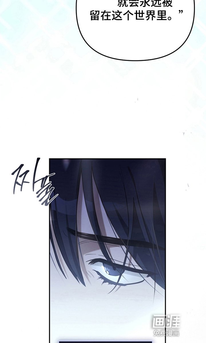 第3章：新手教程