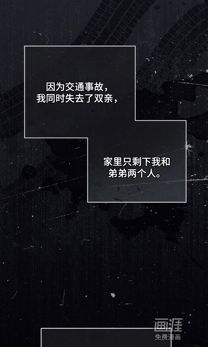 第3章：新手教程