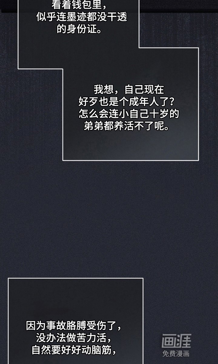 第3章：新手教程