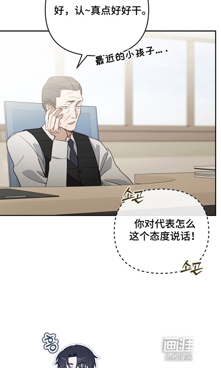 第6章：选择