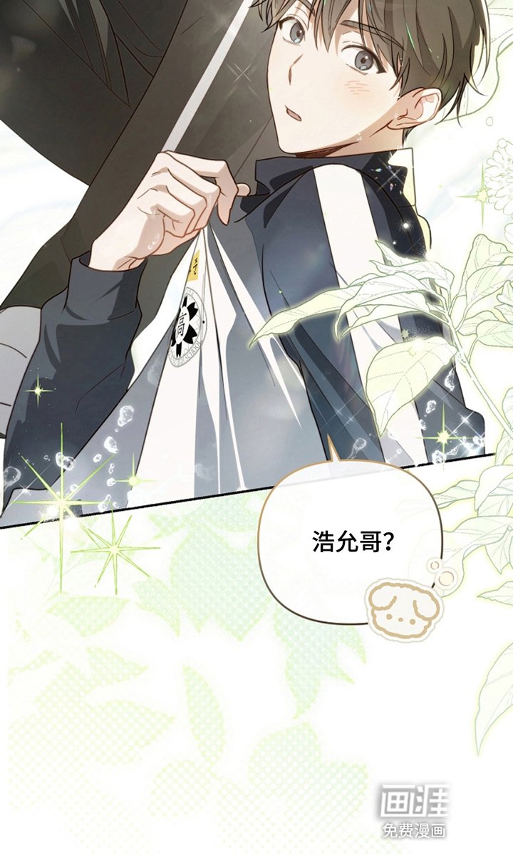 第6章：选择