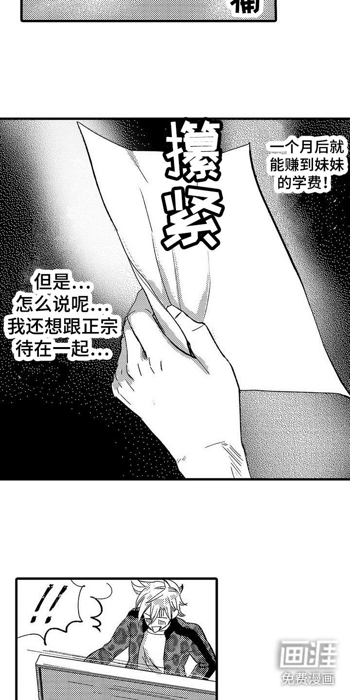 第16章：露脸直播