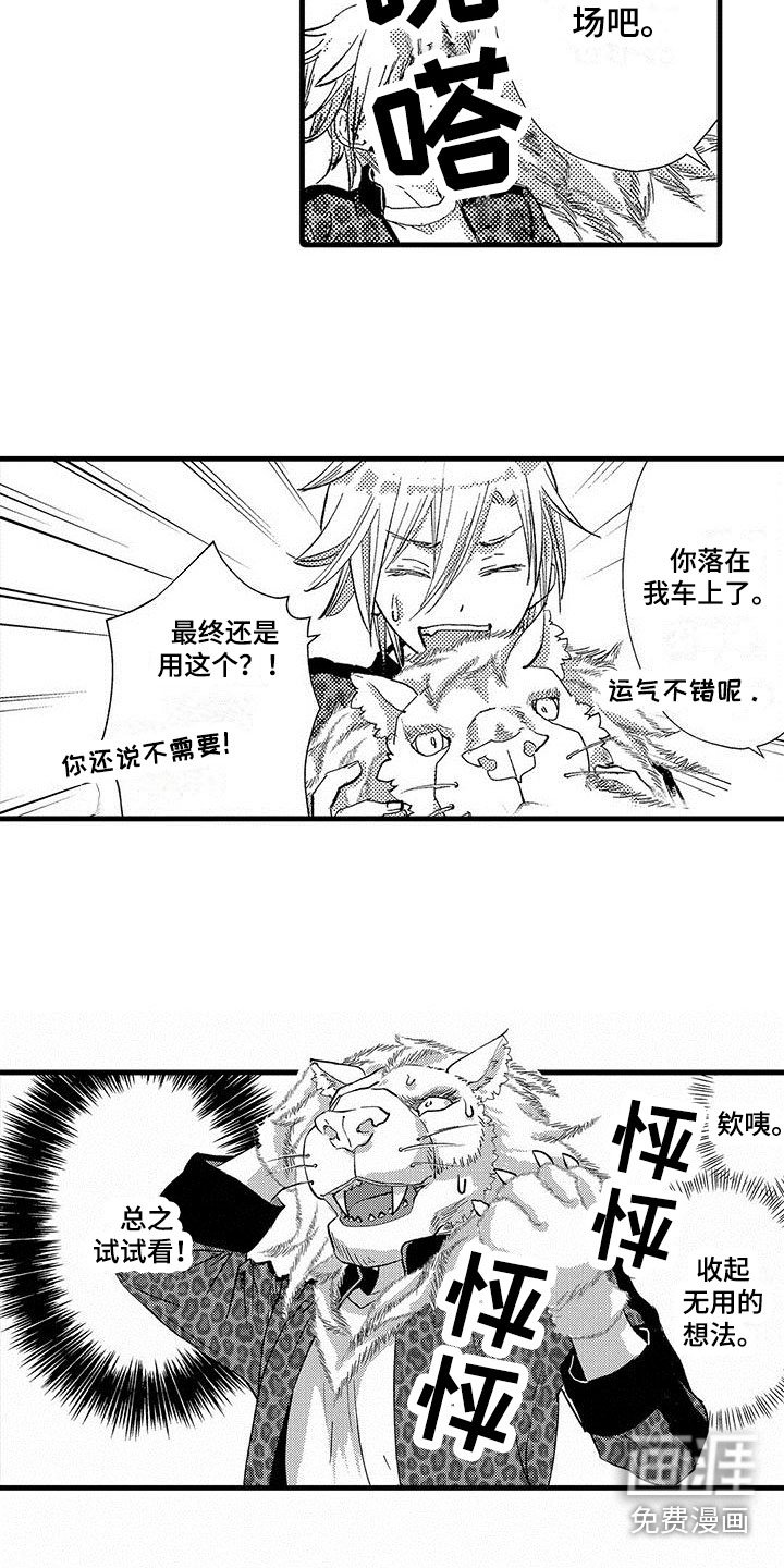 第16章：露脸直播