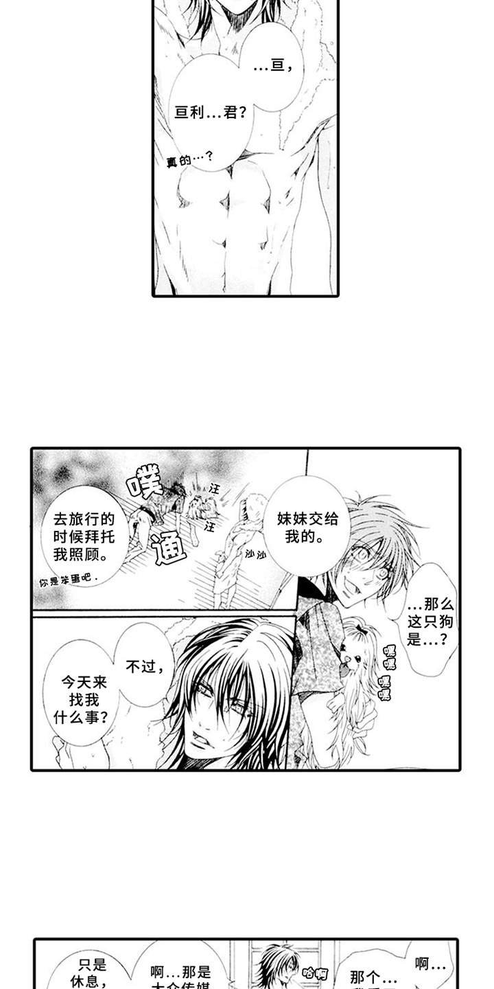 第3章：驯服的办法