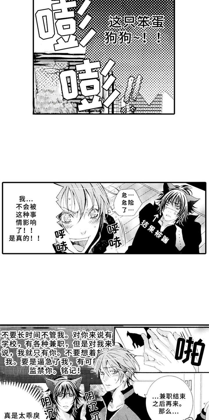 第4章：肆意妄为