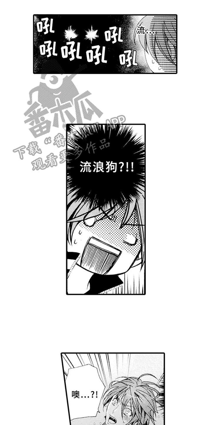 第4章：肆意妄为