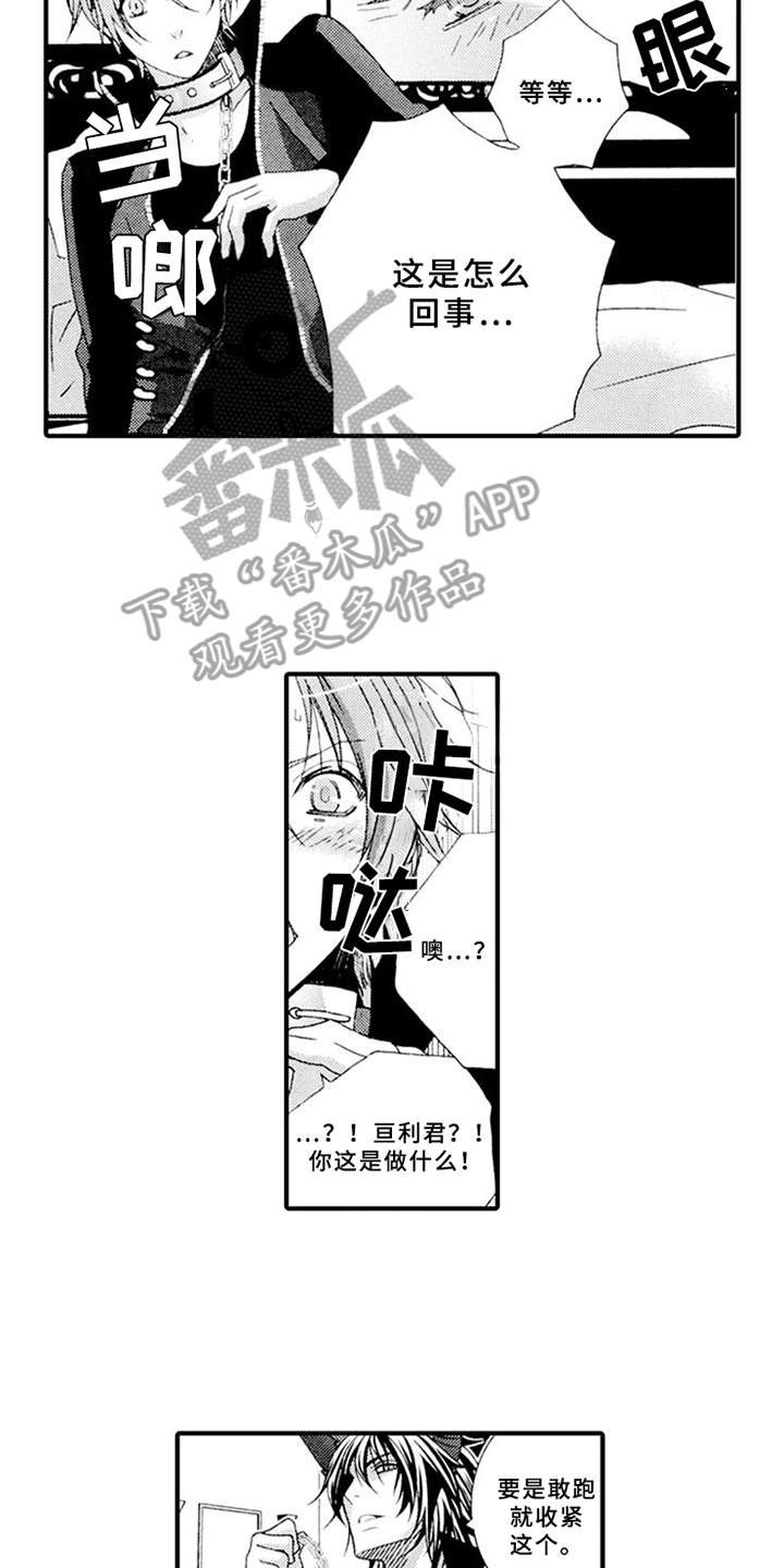 第4章：肆意妄为