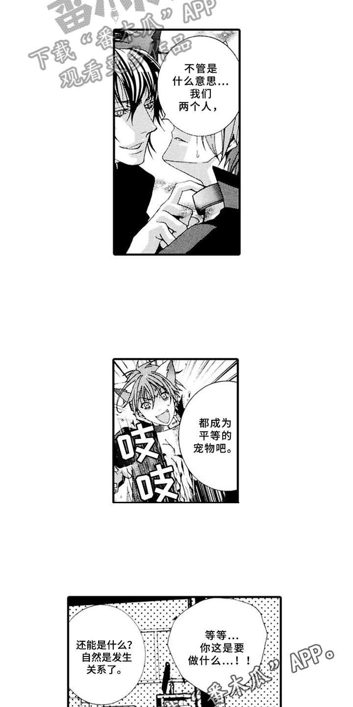 第5章：平等关系