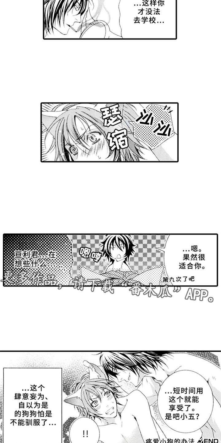 第5章：平等关系