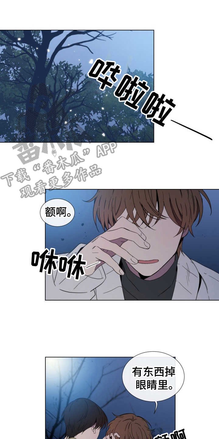 第13章：心动