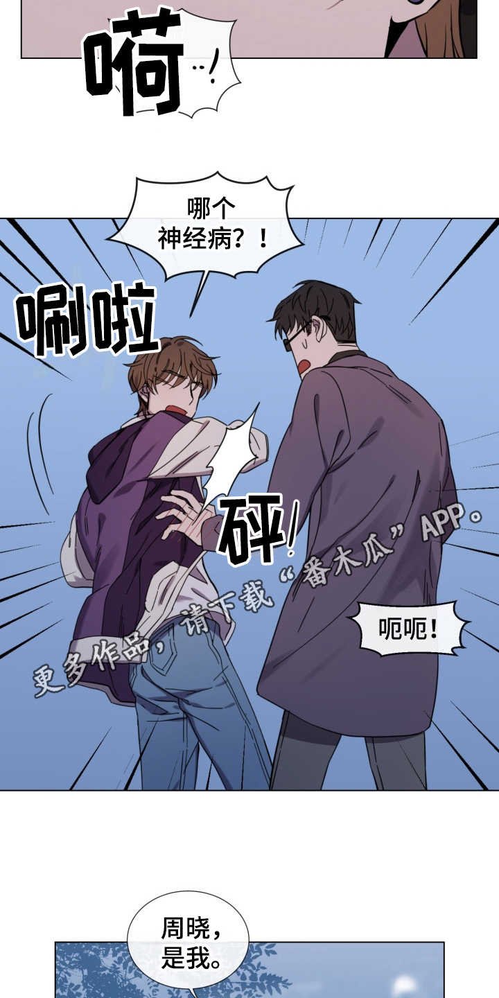 第21章：纠缠