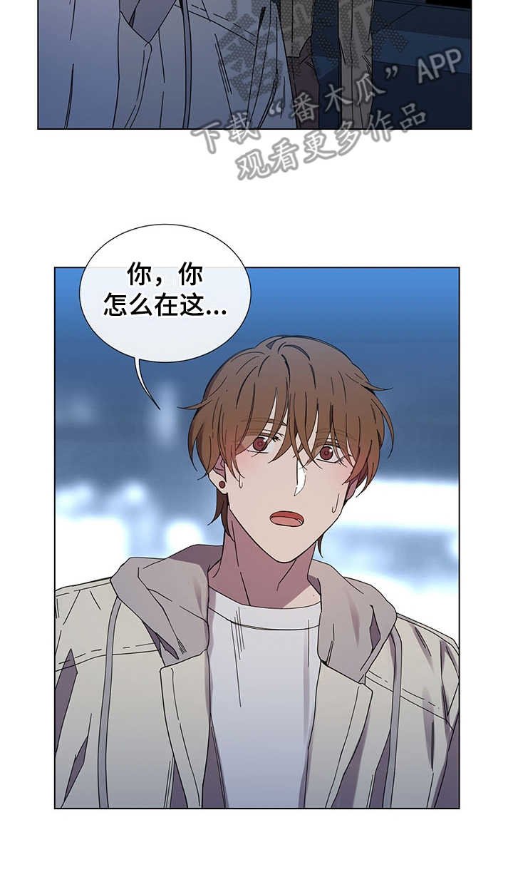 第29章：别期待了