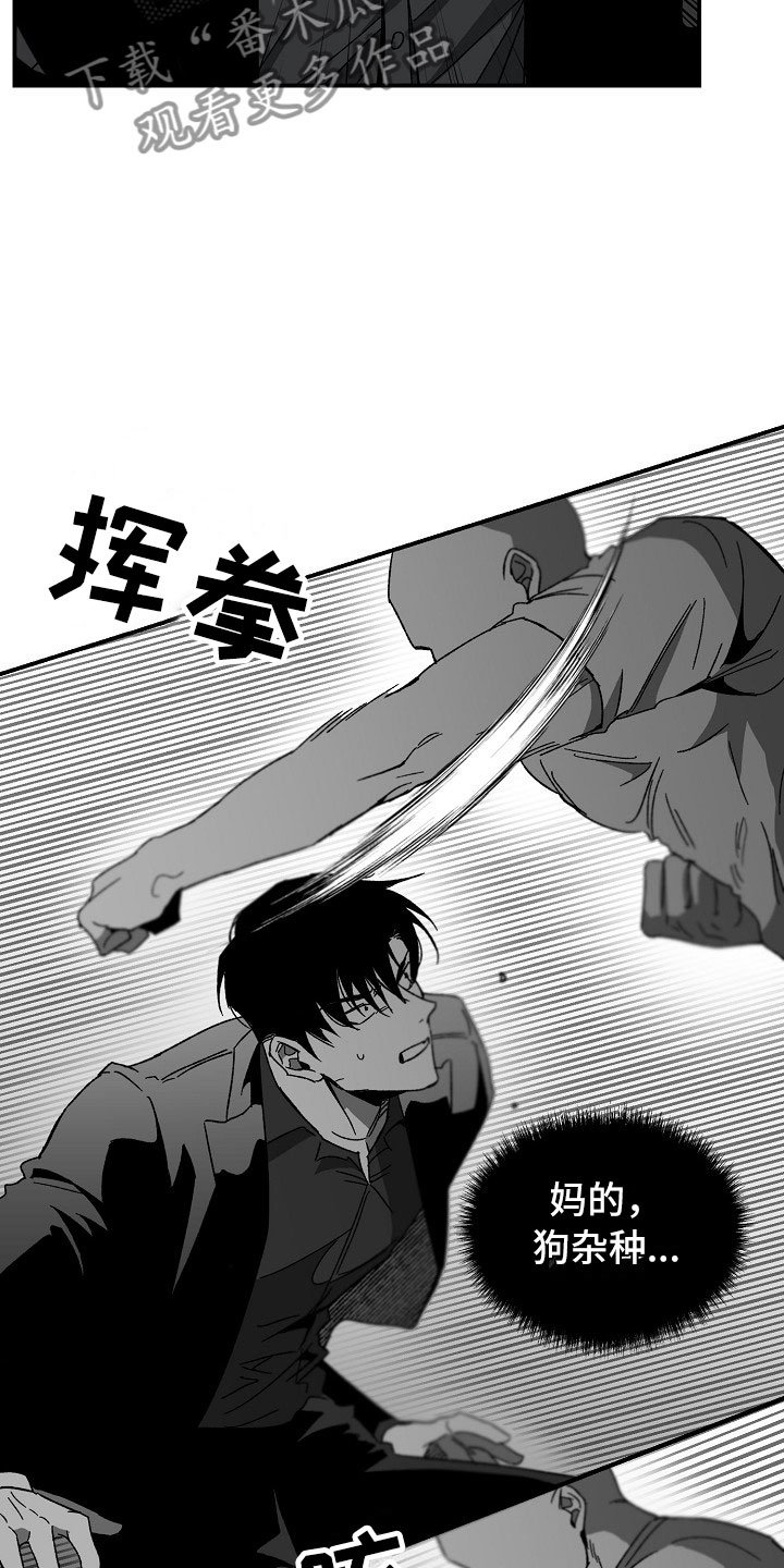 第13章：落地的靴子