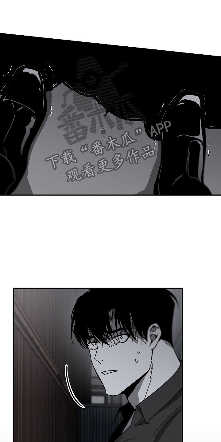 第13章：落地的靴子