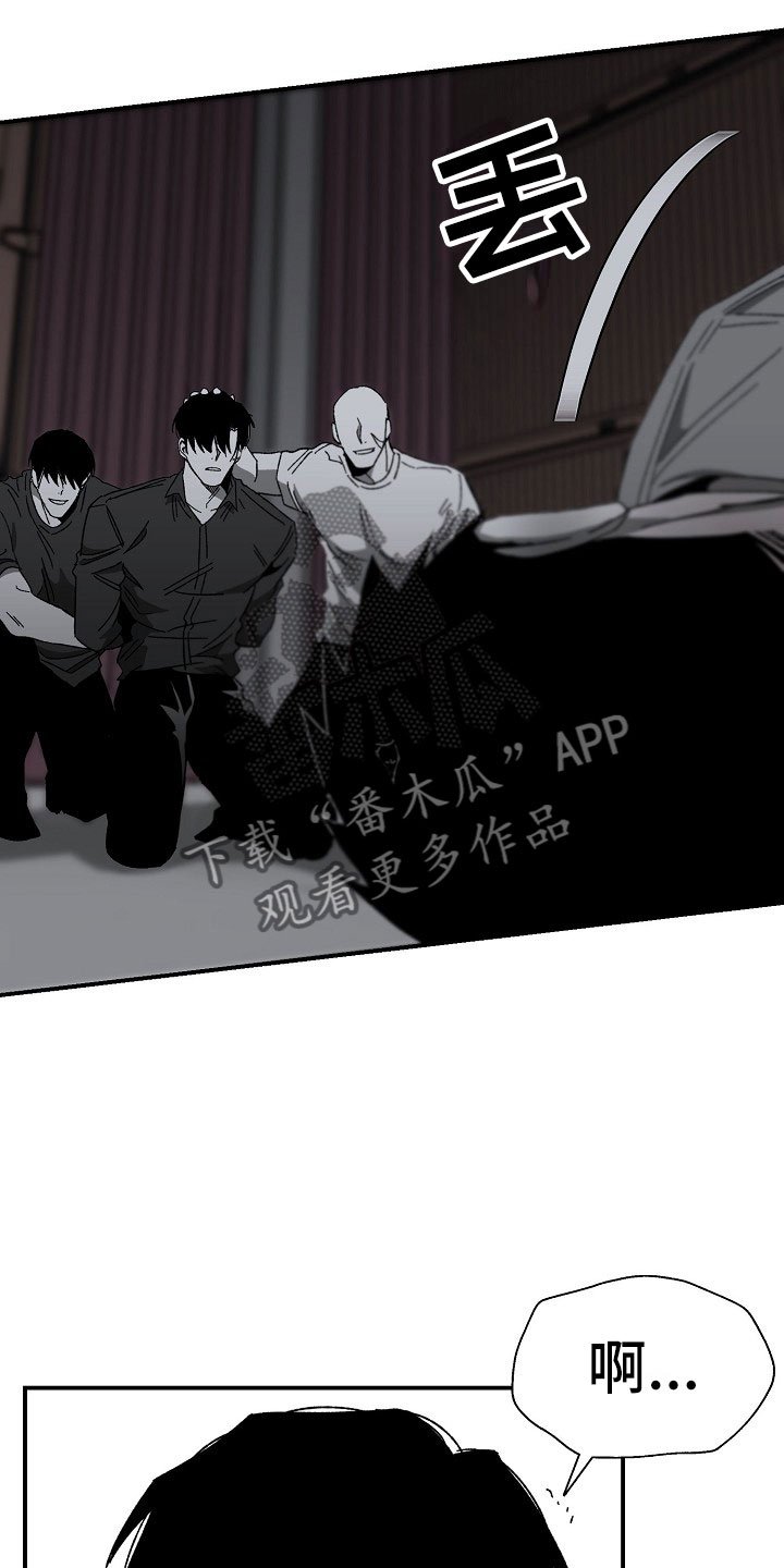 第13章：落地的靴子