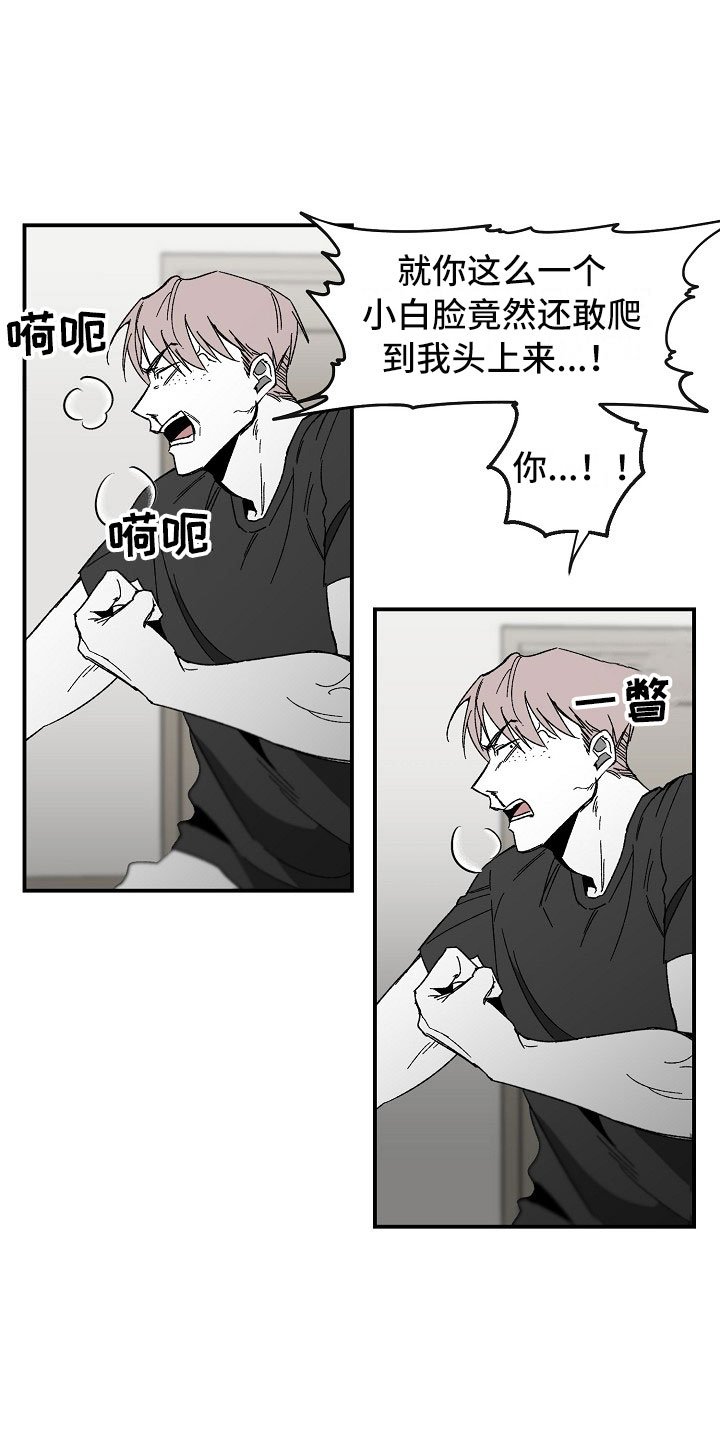 第2章：漂亮的新人