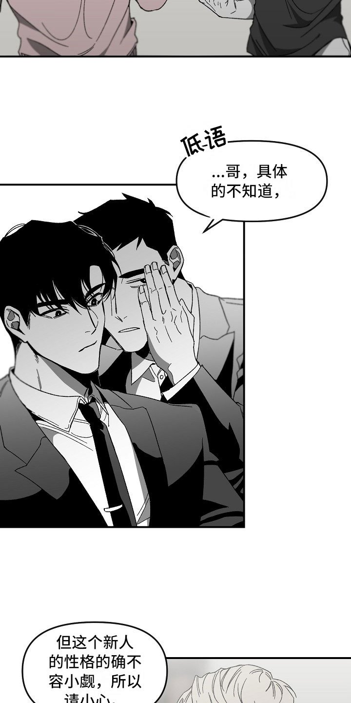 第2章：漂亮的新人
