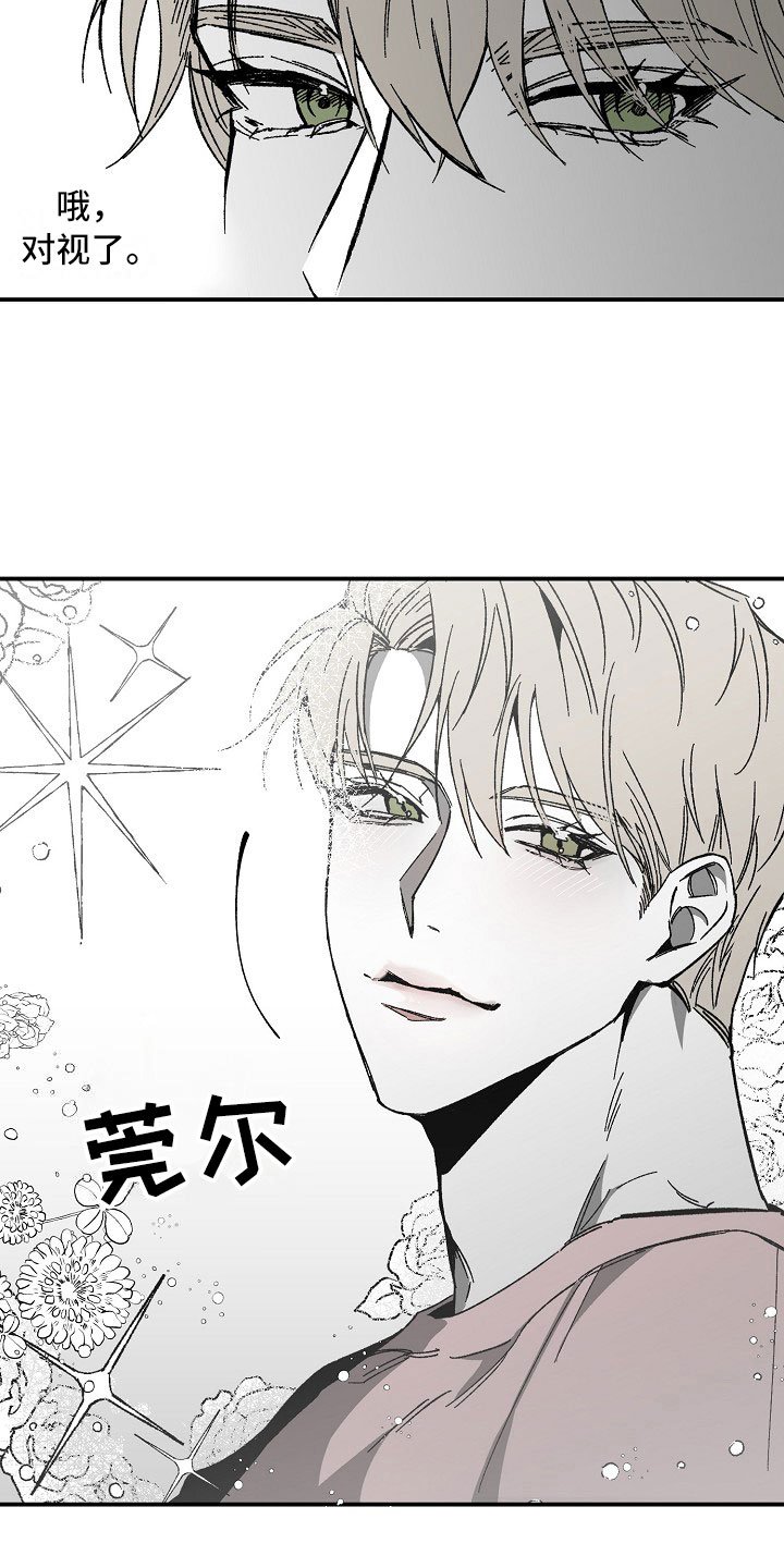 第2章：漂亮的新人