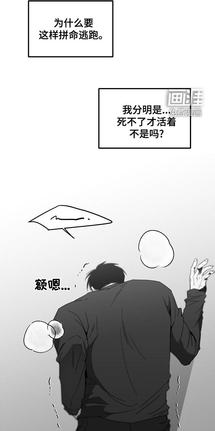 第52章：帮助