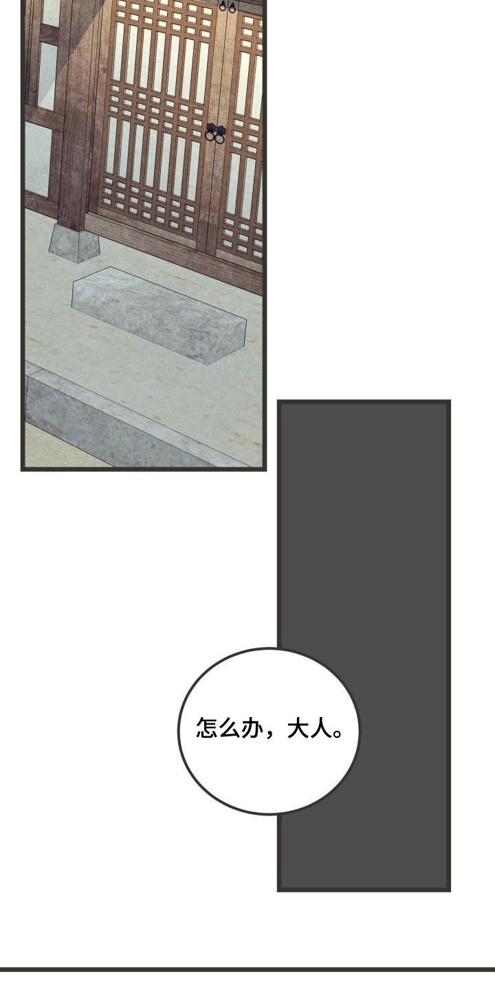 第45章：捷足先登