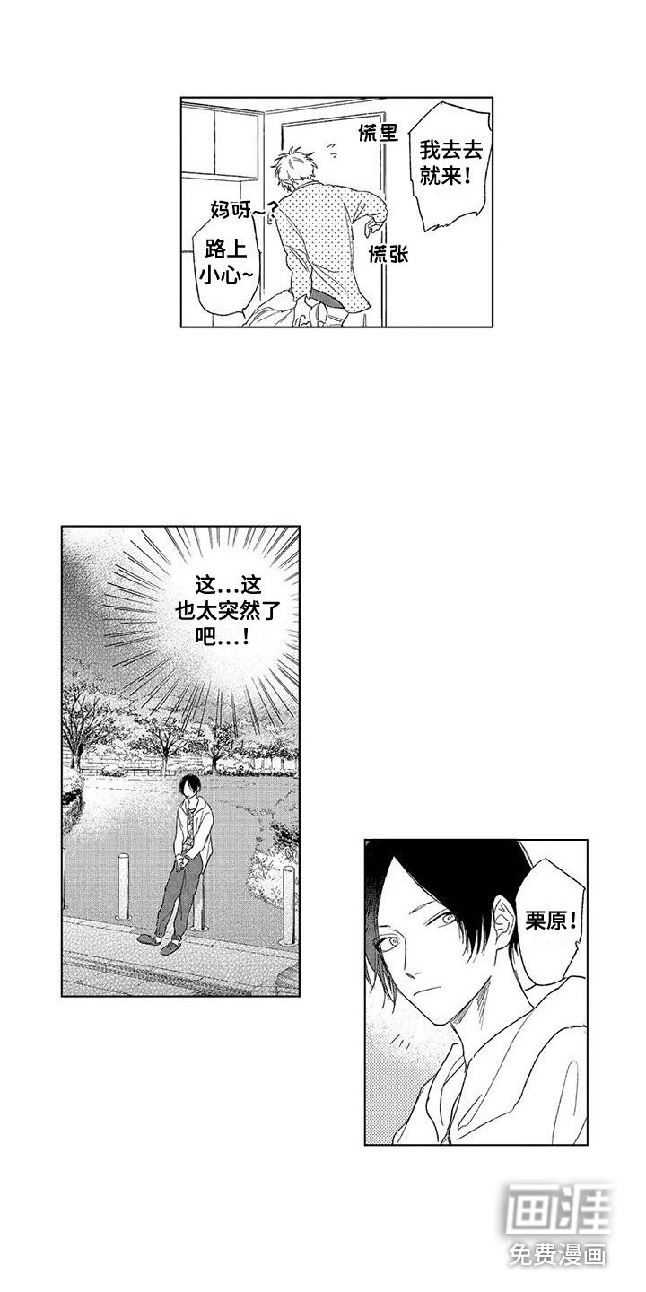 第19章：道歉