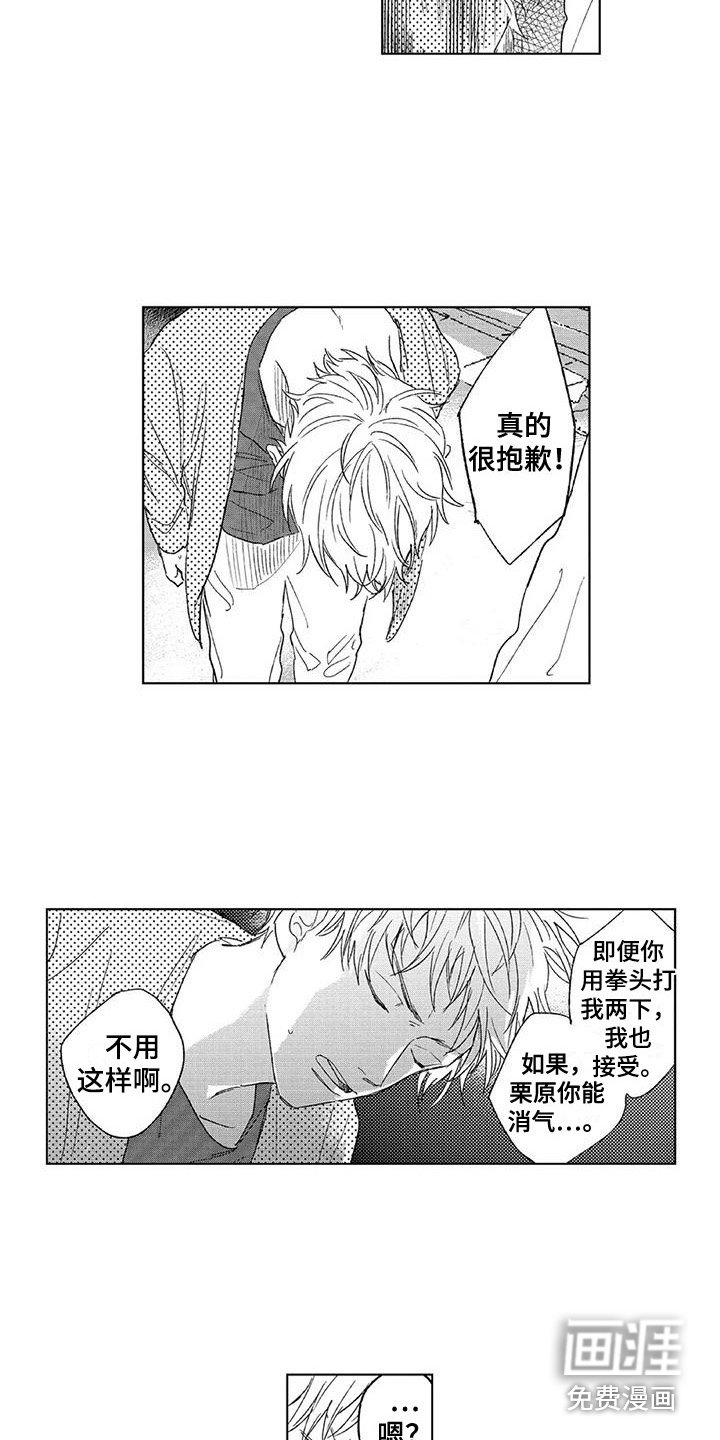 第19章：道歉