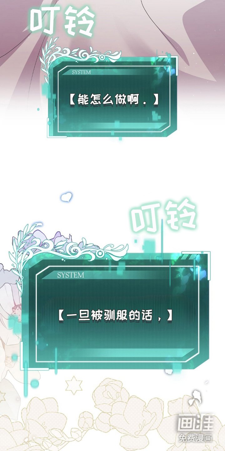第3章：负责爱他们