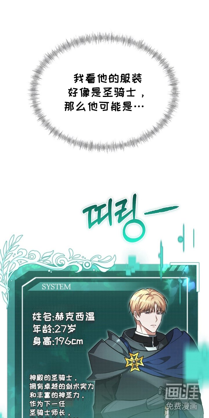 第5章：奇妙的能理解了