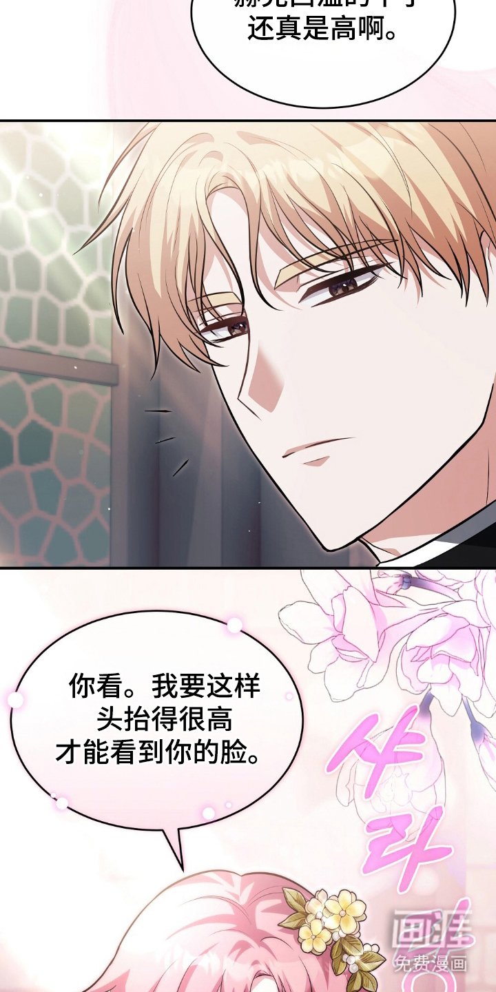 第5章：奇妙的能理解了