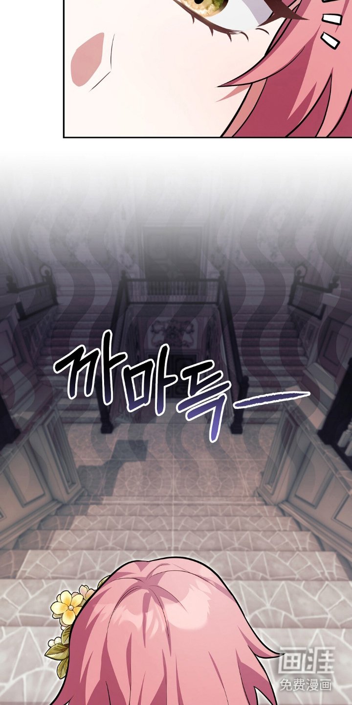 第5章：奇妙的能理解了